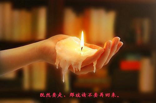 沈惊羽楚玄弈玄弈,楚家,沈惊羽全本免费小说目录试读