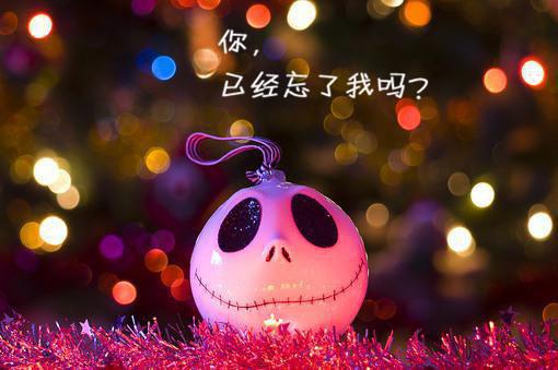 (番外)+(全文)奈何惊鸿入我心:+后续+番外txt下载阅读_(江疏桐段知许)奈何惊鸿入我心:+后续+番外免费阅读全文最新章节列表_笔趣阁（江疏桐段知许）
