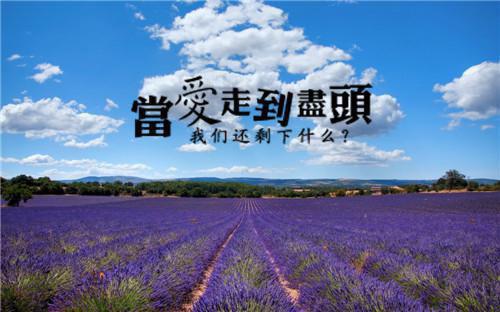 空山流水独成愁沈映雪安子皓：结局+番外免费阅读无弹窗大结局_（空山流水独成愁：沈映雪安子皓结局+番外）空山流水独成愁：结局+番外最新章节列表_笔趣阁（沈映雪安子皓）