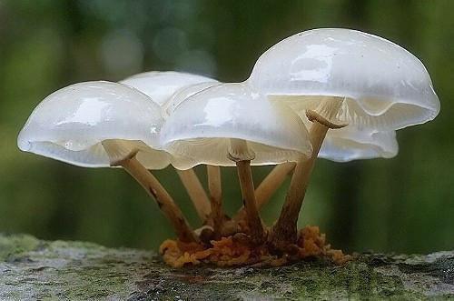 流年落尽空白首：+后续潜心更新向婉宁顾辞推荐完本_已完结流年落尽空白首：+后续潜心更新（向婉宁顾辞）