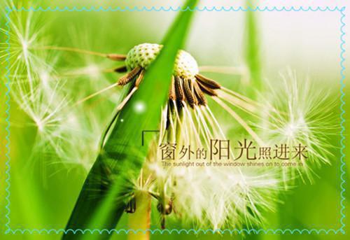 (番外)+(全文)明絮裴廷聿精心打造txt下载阅读_(裴廷聿明絮)明絮裴廷聿精心打造免费阅读全文最新章节列表_笔趣阁（裴廷聿明絮）