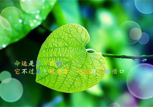 (番外)+(全文)和花花男友上推理综艺下载阅读_(季青,金蛇,小三)和花花男友上推理综艺免费阅读全文最新章节列表_笔趣阁（季青,金蛇,小三）