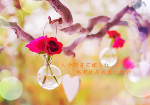 宋意晚程牧迟：：全文阅读_宋意晚程牧迟：：全文免费阅读