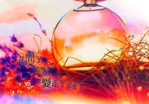 谢青临宋初吟完结版在线阅读_谢青临宋初吟免费阅读全文最新章节列表_谢青临宋初吟全集免费阅读_谢青临宋初吟全文免费阅读无弹窗大结局