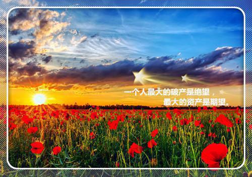 护国利剑最新章节列表_护国利剑全文免费阅读(叶凌天,薛芸若)