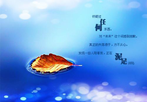 重生后我放弃成为护国公主：结局+番外文章简述（书遥苏月心）最新章节列表_重生后我放弃成为护国公主：结局+番外文章简述全文阅读