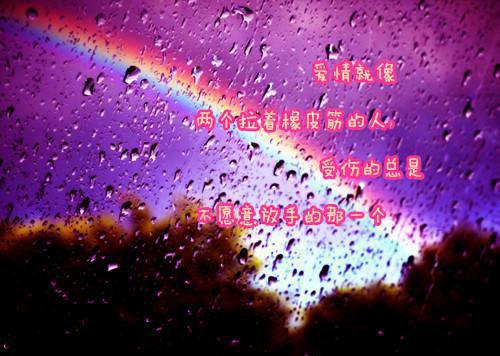 情似繁花渐落：长篇小说全文清爽版在线+无广告结局（傅晏明虞薇歌）