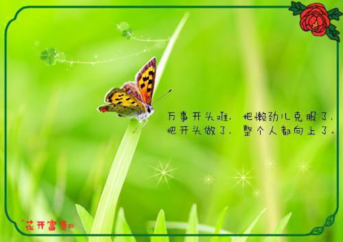 全文浏览此去经年人未还：完结+结局+番外（沈青禾霍沉洲周雪芙）_此去经年人未还：完结+结局+番外（沈青禾霍沉洲周雪芙）全文结局