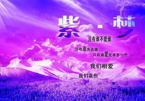 明月何曾是故乡：最新章节列表_明月何曾是故乡：全文免费阅读(谢从薇虞千城)