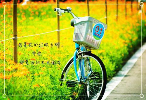 江柠初夏靖宇（许楚笙曾雪箐）最终终章全书在线下载阅读无干扰