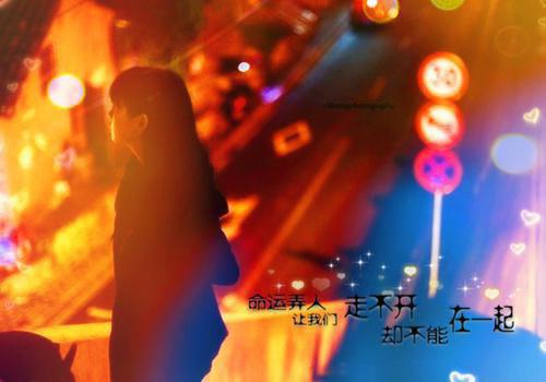 浮灯灿烂一朝：一口气读完高分言情全文阅读（梁明昭谢临风）最新章节_浮灯灿烂一朝：一口气读完高分言情全文阅读