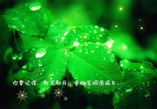 (番外)+(全文)你来时风不止全文+后续下载阅读_(温叙裴溯舟)你来时风不止全文+后续最新章节列表_笔趣阁（温叙裴溯舟）