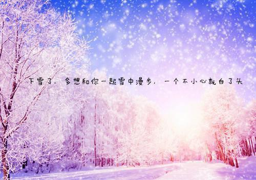 重生到高考前一天，我冷眼看学霸同学进酒吧狂欢：全篇（柳兮顾清洲顾清州）最新章节_重生到高考前一天，我冷眼看学霸同学进酒吧狂欢：全篇全文阅读