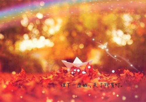 （梁明昭沈砚卿）浮灯灿烂一朝爱恨纠葛在线阅读最近更新
