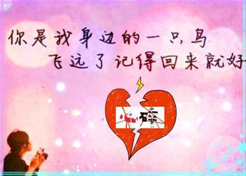 老公是攻略者叶芹全文阅读（沈念傅北辰）最新章节_老公是攻略者叶芹全文阅读