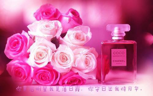(番外)+(全文)余温散尽时：新上热文+番外余温散尽时：新上热文免费阅读无弹窗大结局_余温散尽时：新上热文结局+番外最新章节列表_笔趣阁余温散尽时：新上热文