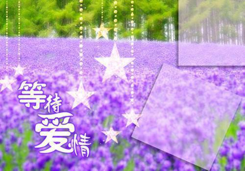 顾柒柒顾舰森顾柒柒顾舰森全本免费小说目录试读