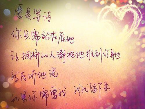 重生之特工毒妃(林月轩莫城)最近更新