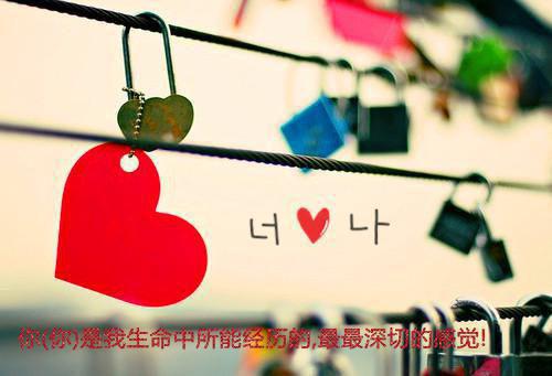 完结文月光背面的告白式：全篇最新章节列表_完结文月光背面的告白式：全篇全文免费阅读（安声宋雯）