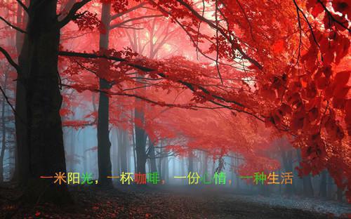 我靠医学爆精品连载都说,那也,苏兰