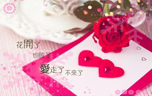 风把誓言吹成沉默：免费+结局全文小说孟清婉陆淮铮贺丞阳小说在线阅读