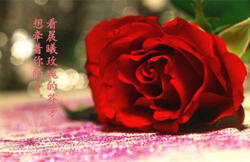 (番外)+(全文)爱已破镜再难圆(段景年顾思敏姜眠)小说最新列表_爱已破镜再难圆(段景年顾思敏姜眠)全文阅读无弹窗