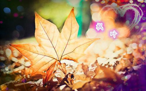 全文免费陆翊夏天瑜（又名：你来时风起云涌）赏析_陆翊夏天瑜（又名：你来时风起云涌）赏析全文免费