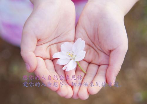 商聿安林疏晚（又名：疏星别离情深晚）已完结_商聿安林疏晚（又名：疏星别离情深晚）最新章节列表