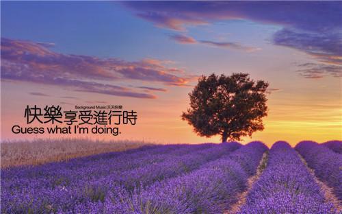看飞絮吹乱烟雨：番外笔趣阁孟清慈程予桉推荐完本_已完结看飞絮吹乱烟雨：番外笔趣阁（孟清慈程予桉）