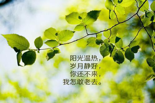 季南絮的小说所念无影踪：在线看季南絮徐晏清全文在线阅读