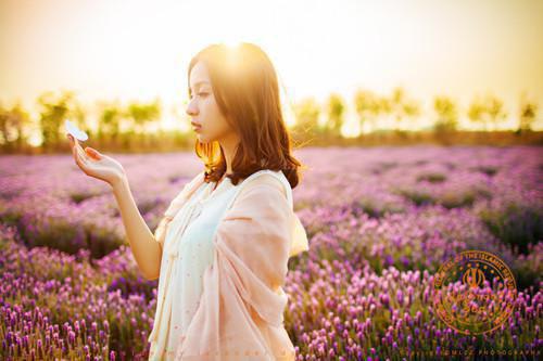 宋舒楚烨辰宋舒楚烨辰全文完结版小说阅读