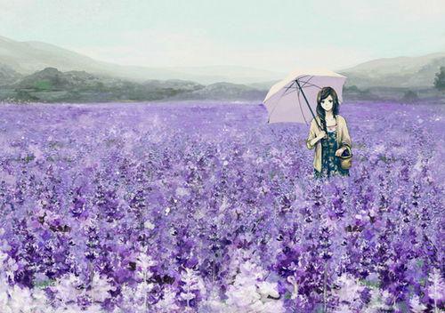 谁与你白头成眷：一口气读完火爆情节（沈意欢陆沉舟）全章在线无广告高口碑小说