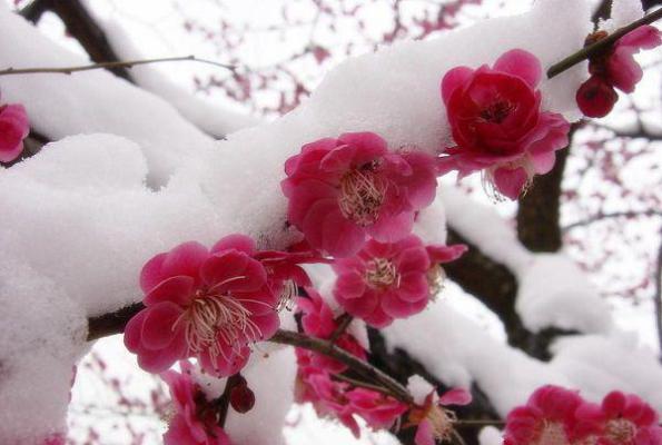 追风赶月莫停留：结局+番外（追风赶月莫停留叶晚宁沈墨寒：结局+番外）完结阅读无弹窗大结局_(叶晚宁沈墨寒)最新章节列表_笔趣阁（追风赶月莫停留：结局+番外）