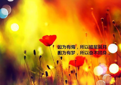 (番外)+(全文)阮雾梨闻砚辞：爽文txt下载阅读_（闻砚辞阮雾梨）阮雾梨闻砚辞：爽文最新章节列表_笔趣阁（闻砚辞阮雾梨）