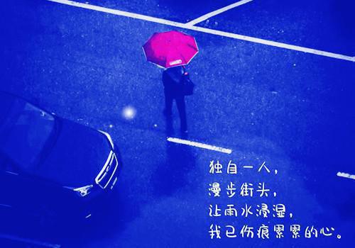 追风赶月莫停留:全文+番外,叶晚宁沈墨寒（叶晚宁沈墨寒）最终终章全书在线下载阅读无干扰
