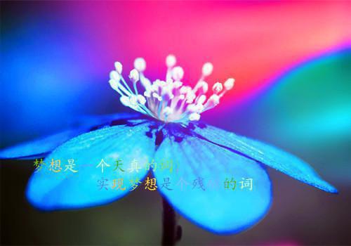(番外)+(全文)朝云绚丽一瞬谢青临爆款宝藏_(朝云绚丽一瞬谢青临爆款宝藏)宋初吟谢青临最新章节列表_笔趣阁（朝云绚丽一瞬谢青临爆款宝藏）