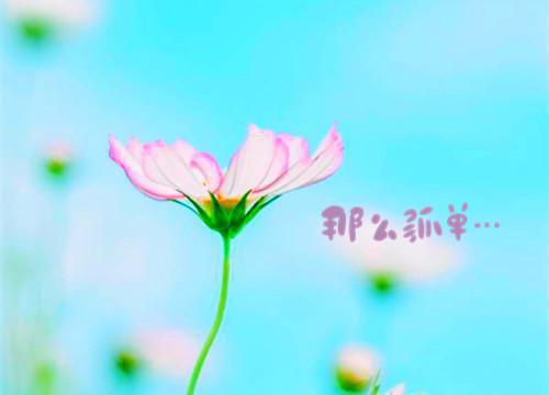 (番外)+(全文)姜曼殊沈砚之（又名：大雁南飞人不归）精心打造全文+后续下载阅读_(姜曼殊,沈砚之,乔昭宁)姜曼殊沈砚之（又名：大雁南飞人不归）精心打造全文+后续最新章节列表_笔趣阁（姜曼殊,沈砚之,乔昭宁）