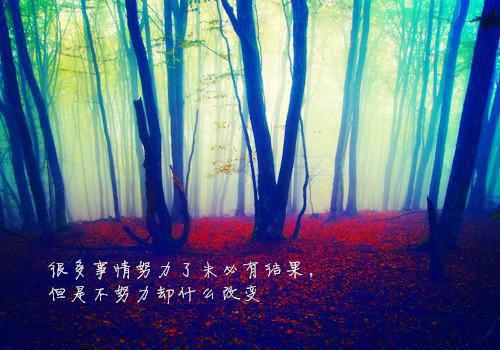 (番外)+(全文)被下安眠药后，男友和小白花当着我的面做恨高质量好文_(被下安眠药后，男友和小白花当着我的面做恨高质量好文)祁雾秦彻最新章节列表_笔趣阁（被下安眠药后，男友和小白花当着我的面做恨高质量好文）