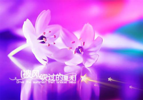 全本六零不下乡，家长里短（向绵绵张及第）最新章节列表_全本六零不下乡，家长里短全文阅读