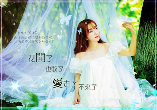 忆君不见泪沾襟：结局+番外爽文（夏思淼祁司野）全文浏览_忆君不见泪沾襟：结局+番外爽文全文浏览