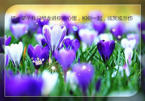 佚名的小说_为庇护白月光，律师妻子把我送上法庭【小说内见】小说阅读