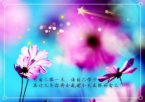等风等雨等不到你：畅销（夏语栀祁墨寒许青瑶）终章阅读无广告