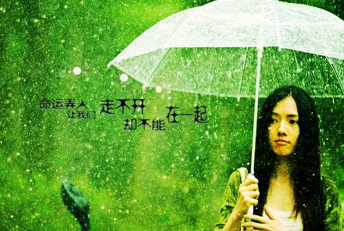 完结文燕王换娶贵女后，悔疯了：结局最新章节列表_完结文燕王换娶贵女后，悔疯了：结局全文免费阅读（宋凌风赵书仪）