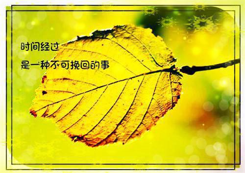 最新章节夜雨不知千帆过：结局+番外（顾铭泽林蔓瑶）_夜雨不知千帆过：结局+番外顾铭泽林蔓瑶最新章节