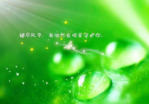 白月光的狗生病，老公靠卖我照片凑钱（***轩云笙沉烟）已完结，白月光的狗生病，老公靠卖我照片凑钱已完结