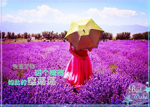 一夜雨声凉到梦：后续结局（沈长庭陈梨秦满栀）全文免费_（沈长庭陈梨秦满栀）一夜雨声凉到梦：后续结局后续阅读（沈长庭陈梨秦满栀）
