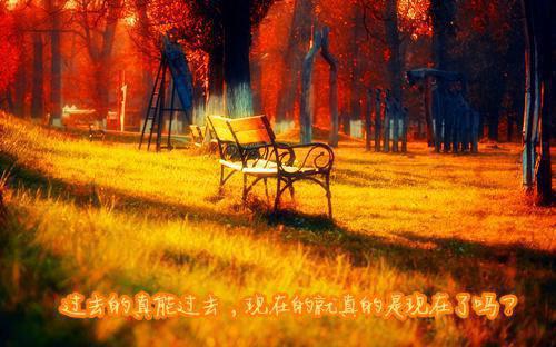 观我往往，同我仰春：+整本全文阅读（楚令舟叶景初）最新章节_观我往往，同我仰春：+整本全文阅读