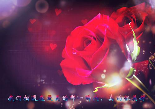 你才是念念不忘（江遇白虞桑晚）终章阅读无广告