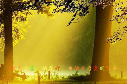 闪婚后，京圈二爷宠她上天免费赏析（舒欢霍靳城）最新章节_闪婚后，京圈二爷宠她上天免费赏析全文阅读