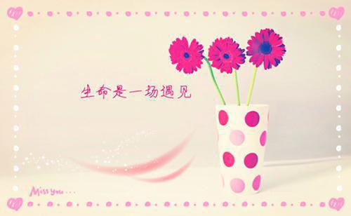 （叶北宸凤念安）黄泉情难渡：完结爽文全文+后续